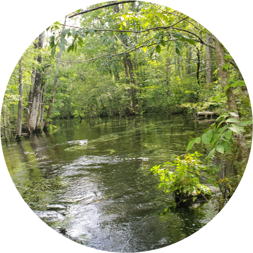 Imagery of Waterways